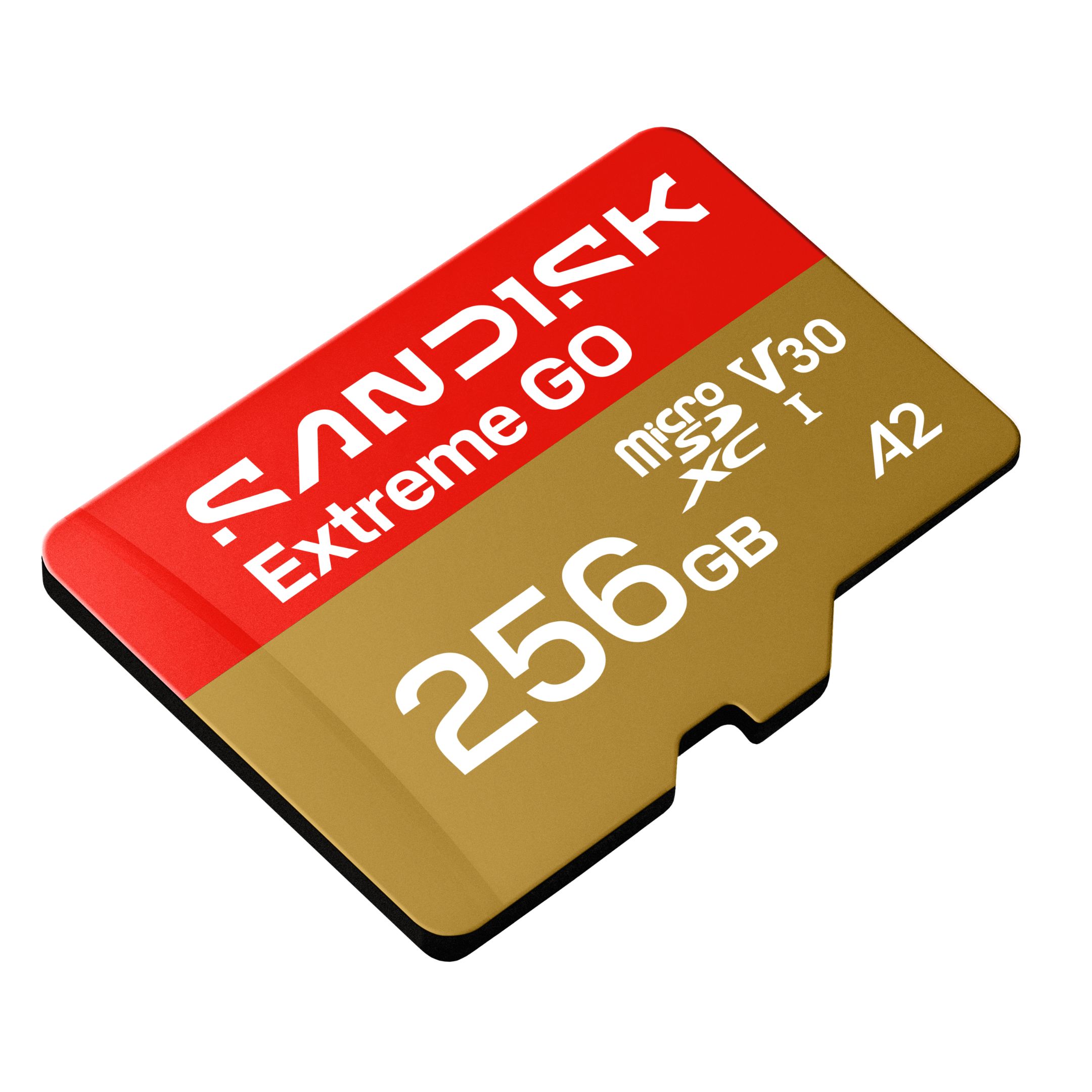 Karta pamięci SanDisk Extreme GO microSDXC 256GB, 240/160MB/s, UHS-I, A2, V30