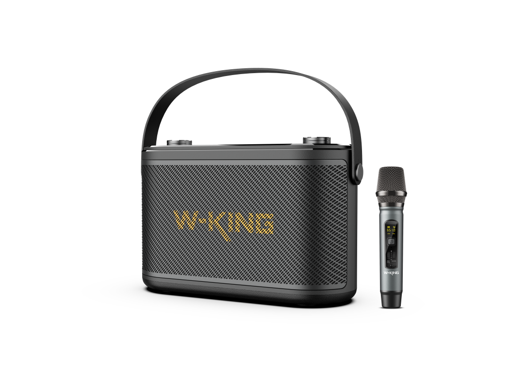 Przenośny głośnik bezprzewodowy W-King H10S czarny