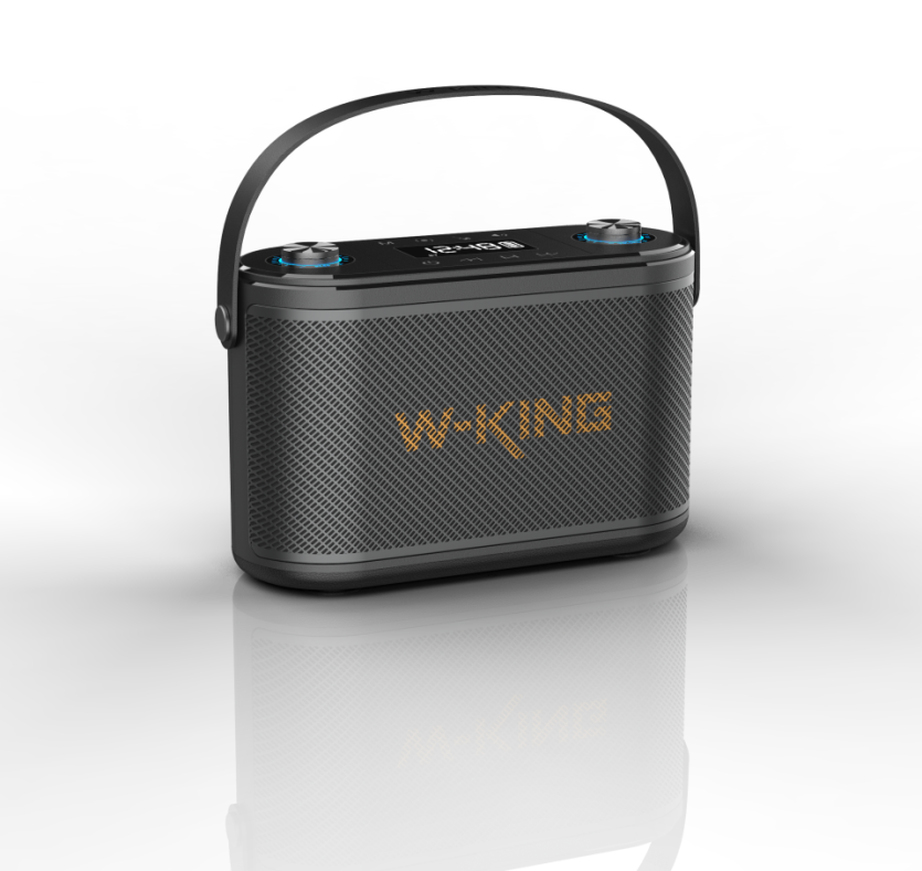 Przenośny głośnik bezprzewodowy W-King H10S czarny