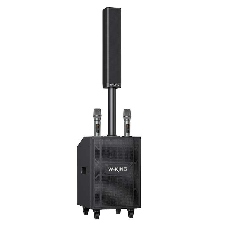 Przenośny głośnik bezprzewodowy W-King K22 z 2 mikrofonami czarny
