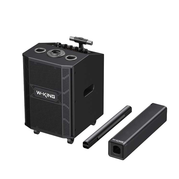 Przenośny głośnik bezprzewodowy W-King K22 z 2 mikrofonami czarny