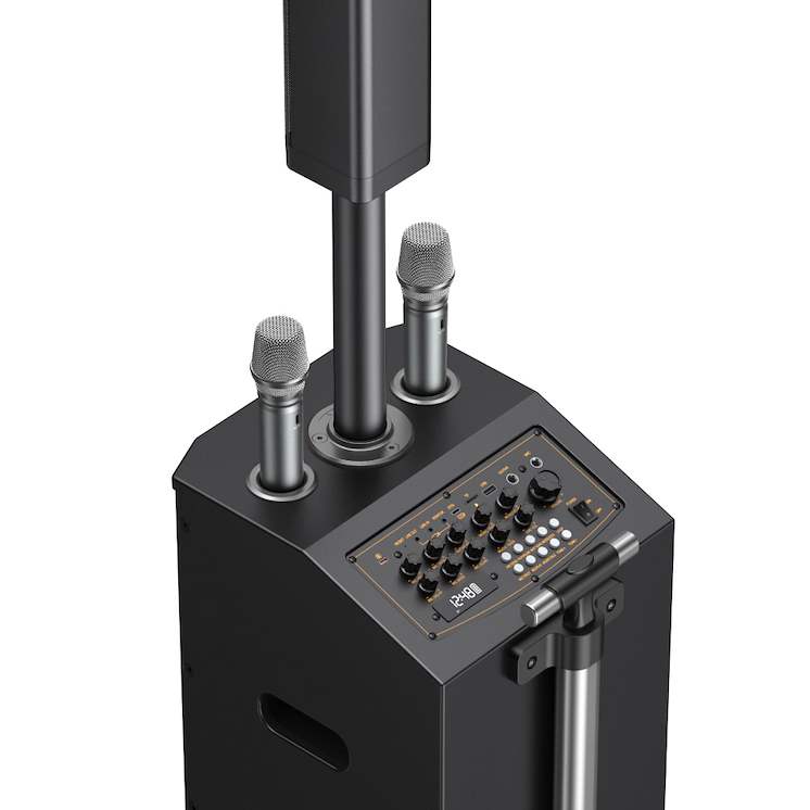 Przenośny głośnik bezprzewodowy W-King K22 z 2 mikrofonami czarny